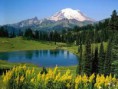 /album/fotogaleria-fotogaleria/images-54-jpg3/