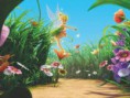 /album/fotogaleria-fotogaleria/images-250-jpg3/